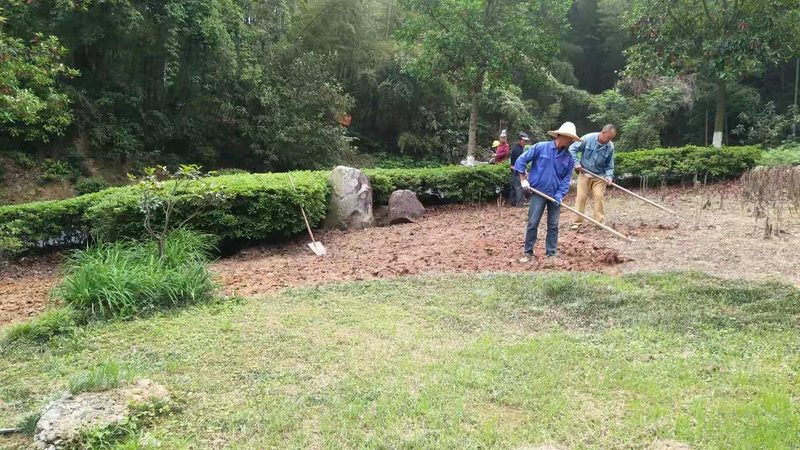 小型园林公司注册，成本几何？关键因素揭秘**