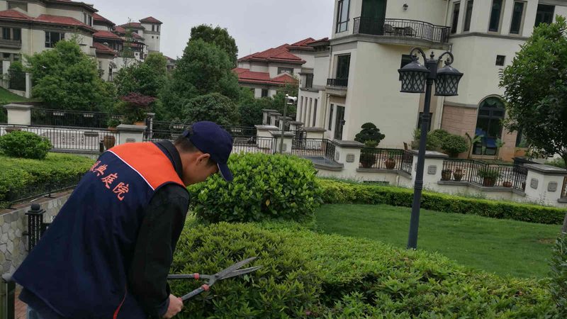 黄蜡石：假山喷泉的点睛之笔，如何选择价格与品质的平衡点？**