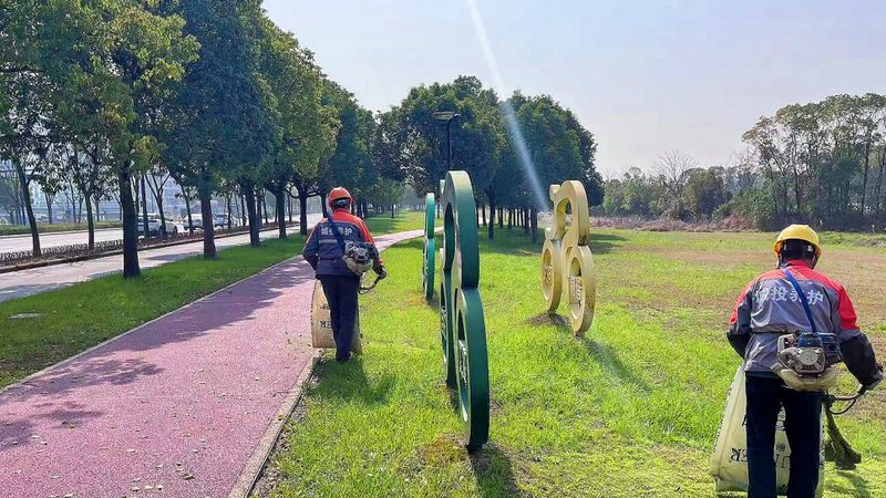 小区道路绿化效果图：高清素材背后的设计考量
