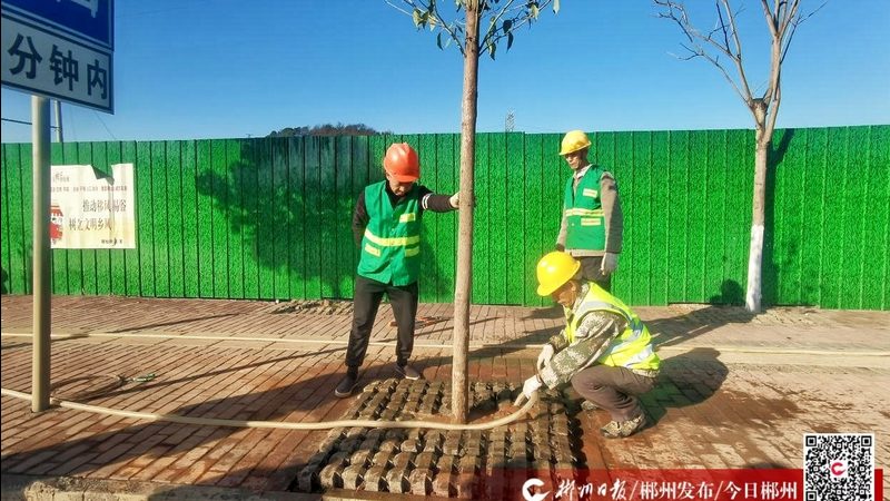 学校操场草坪铺设尺寸规范解析**