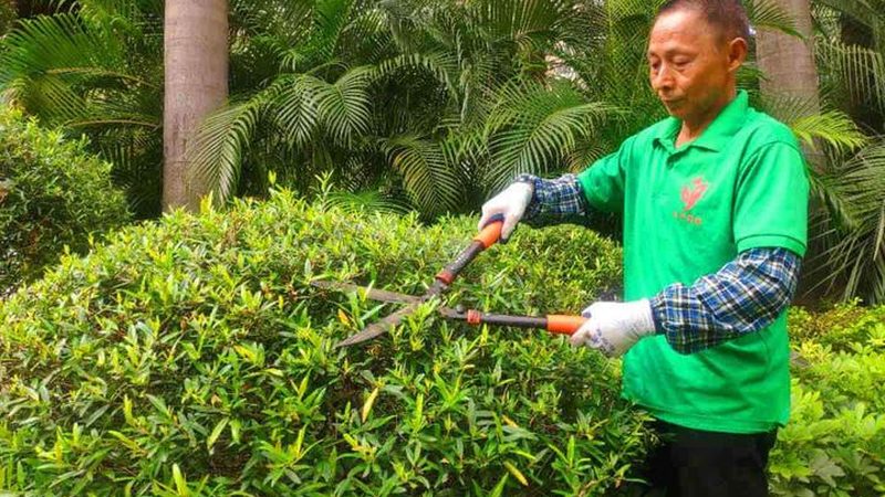 本地小区绿化设计公司排名