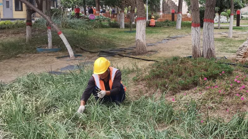 园林绿化土建交叉施工，哪些细节不容忽视？**